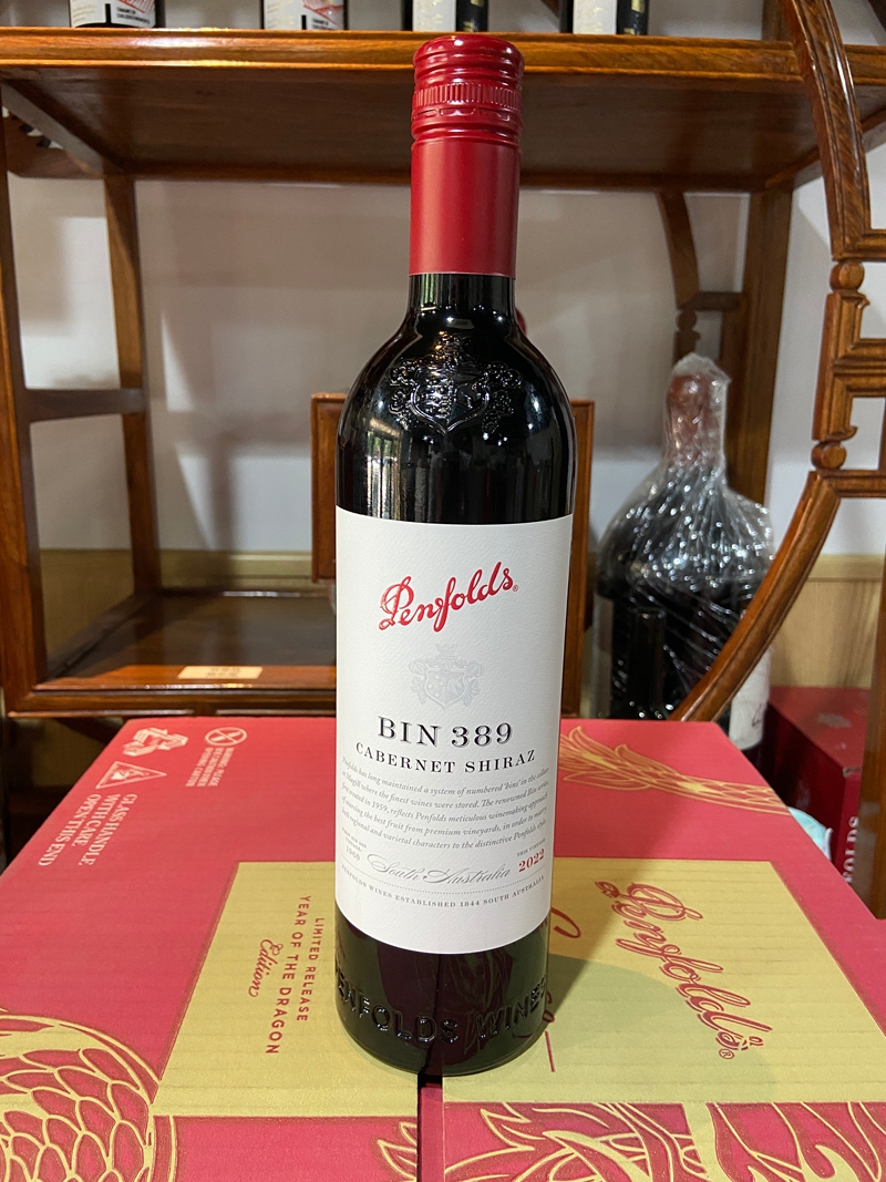 2022-BIN389-����